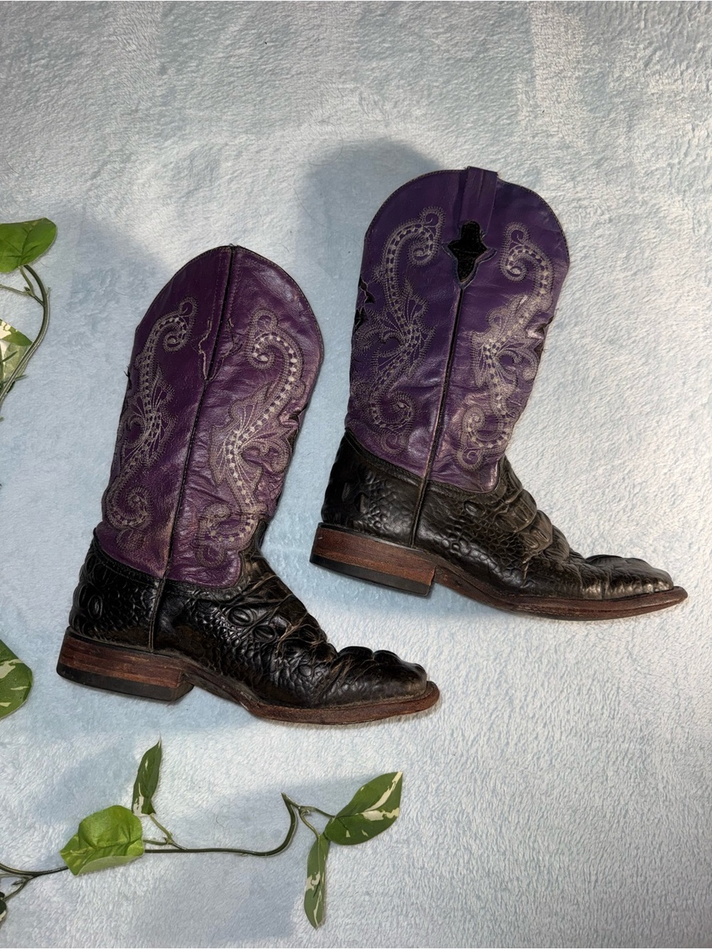 Ferrini Rancher Caiman Print Square Toe Cowboy Boots
